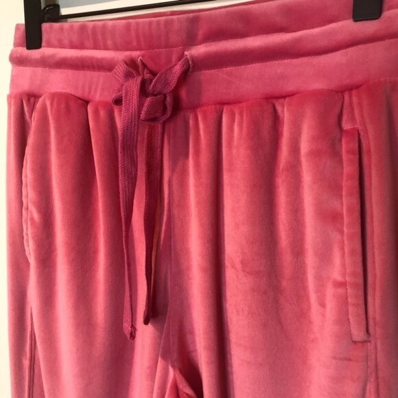 ANTHROPOLOGIE Merida Velvet Drawstring Joggers - Picture 5 of 12